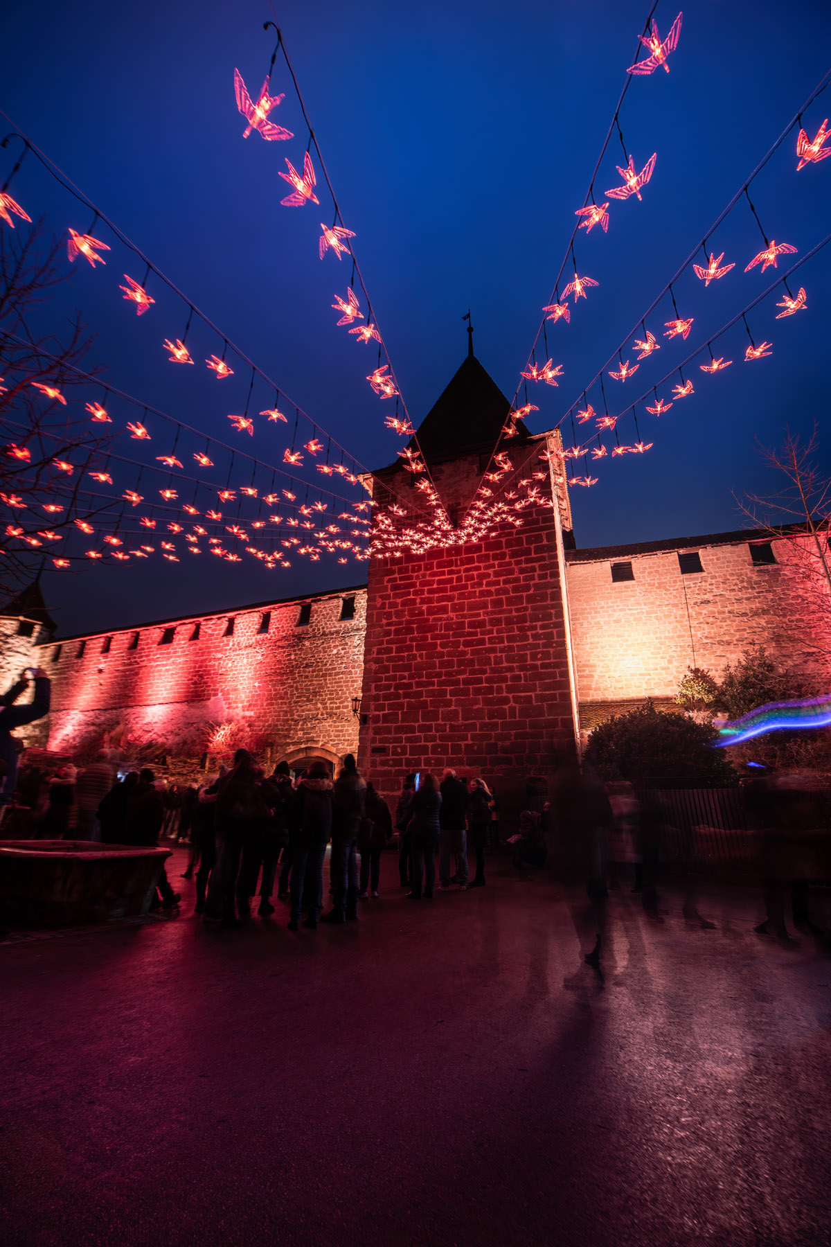 Kopie von 2026_MLF_HD_@Carim Jost (63)_1